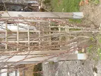 2016-03-29 Golden Gate 3.webp