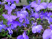 IMG_8854.webp