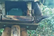 DSCF5500 (2).webp