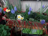 048.webp