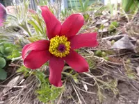 P1050613_zpstigq1qfi.webp P1050613_zpstigq1qfi.webp