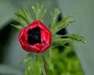 DSC_4035.webp