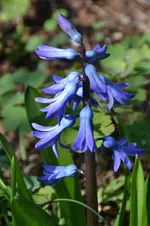 DSC_4256.webp