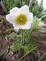 P1050609_zpsoeperpe1.webp