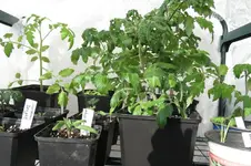 k-IMG_2650.webp