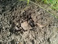 IMG_20160401_152555.webp