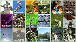 Maerz 2016   Willkommen Fruehling.webp