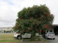 IMG_2965 v.JPG