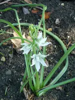 P1080892Was ist das.webp