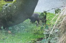 DSCF5503 (2).webp