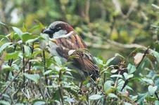 DSCF5516 (3).webp