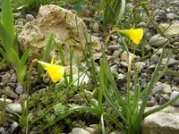 DSCN6201.webp