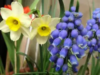 055.webp