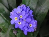 056.webp