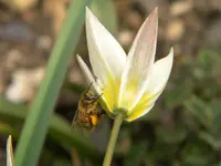 DSCN6186.webp