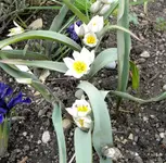DSCN6187.webp