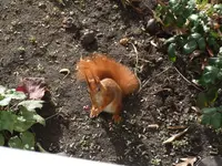 DSCF4068.webp