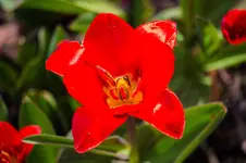 7864.webp