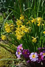 DSC_6803.webp