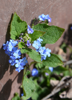 DSC_6808.webp