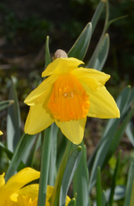 DSC_6809.webp