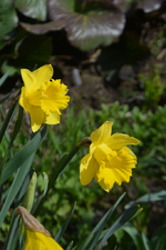 DSC_6810.webp