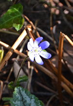 DSC_6814.webp