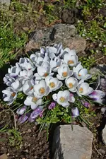 DSC_6820.webp