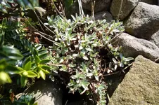 SAM_0861.webp