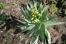 SAM_0852.webp