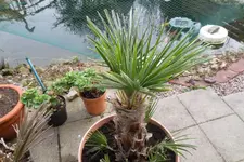 SAM_0873.webp