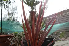 SAM_0872.webp