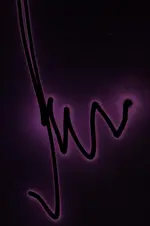 DSCN2583xy.webp