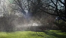 Kunde Sternregner im Einsatz 2.jpg