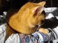 IMGP3365.webp