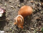 DSCF4073.jpg