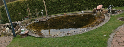 alle 3 Teiche nach Säuberung und Wasserauffüllung_800.webp