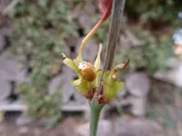 P1050640.webp