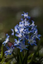 IMG_6752-2.webp