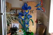 SAM_0879.webp
