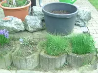 Kreuter (2).webp