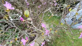 20160403_162105.webp