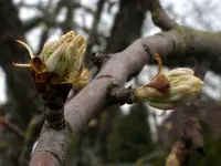 IMGP8567.webp