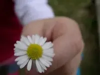 IMGP8570.webp