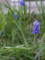 IMGP8571.webp