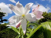 DSCF9341.webp