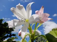 DSCF9344.webp