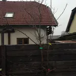 zwetschge.webp