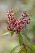 DSC_4142.webp