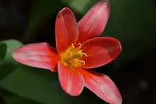 DSC_4811.webp